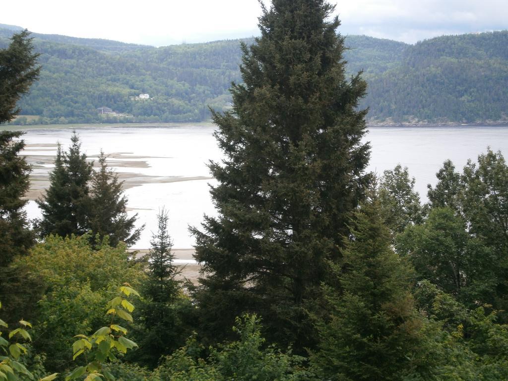 LʼAnse-Saint-Jean Panoramique Du Fjord 아파트 외부 사진