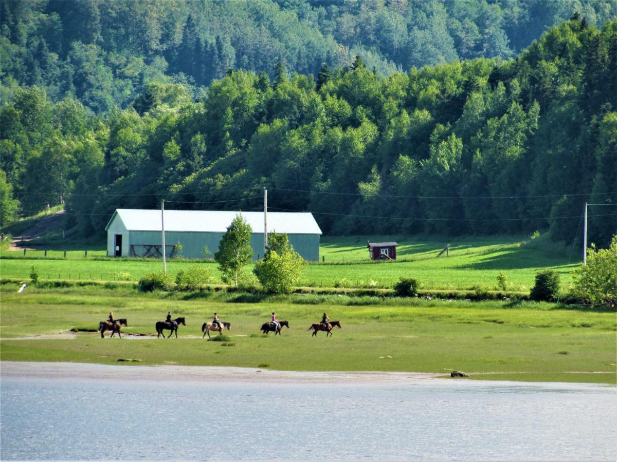 LʼAnse-Saint-Jean Panoramique Du Fjord 아파트 외부 사진