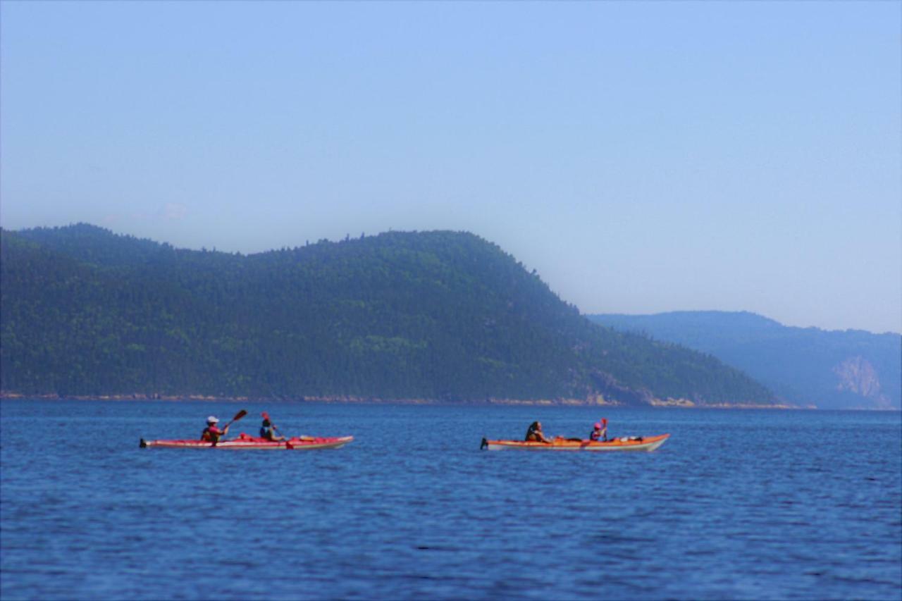LʼAnse-Saint-Jean Panoramique Du Fjord 아파트 외부 사진